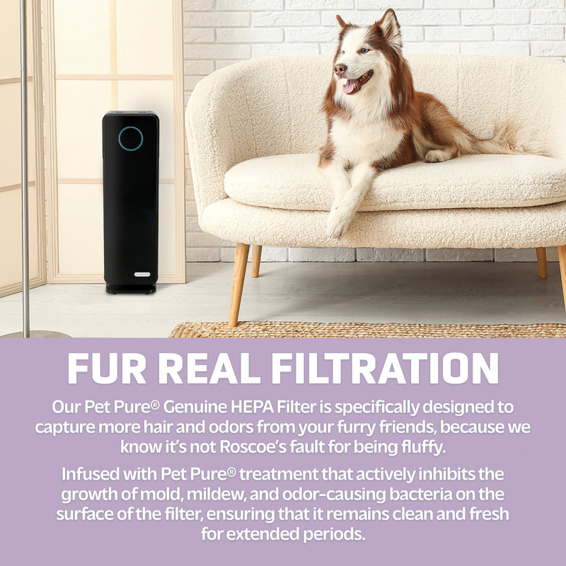 GermGuardian AC4300 Elite 5-in-1 Air Purifier with Pet Pure HEPA Filter, UV-C Sanitizer and Odor Reduction, 22-Inch Tower (black)